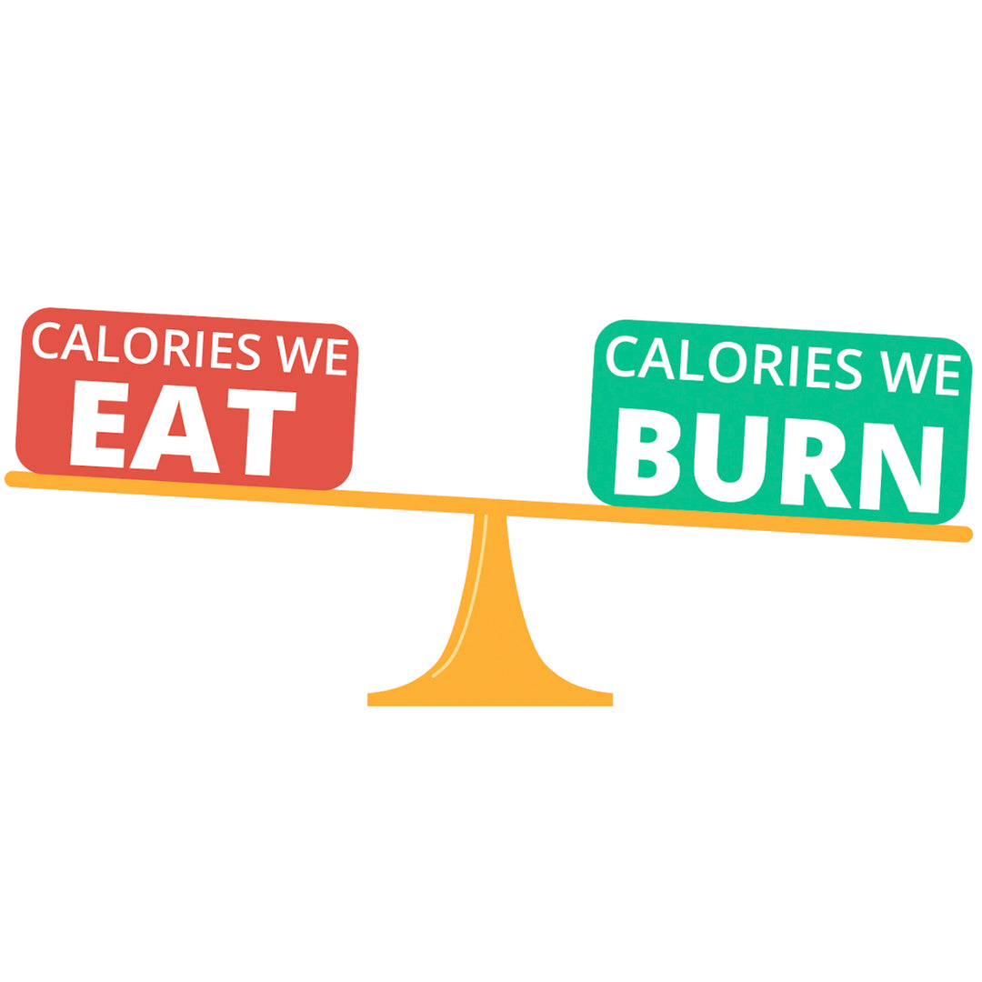 Calculateur d'apport calorique